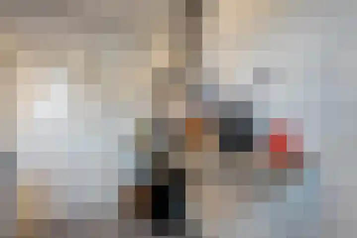De Fazant 25 Hoogeveen thumbnail 9