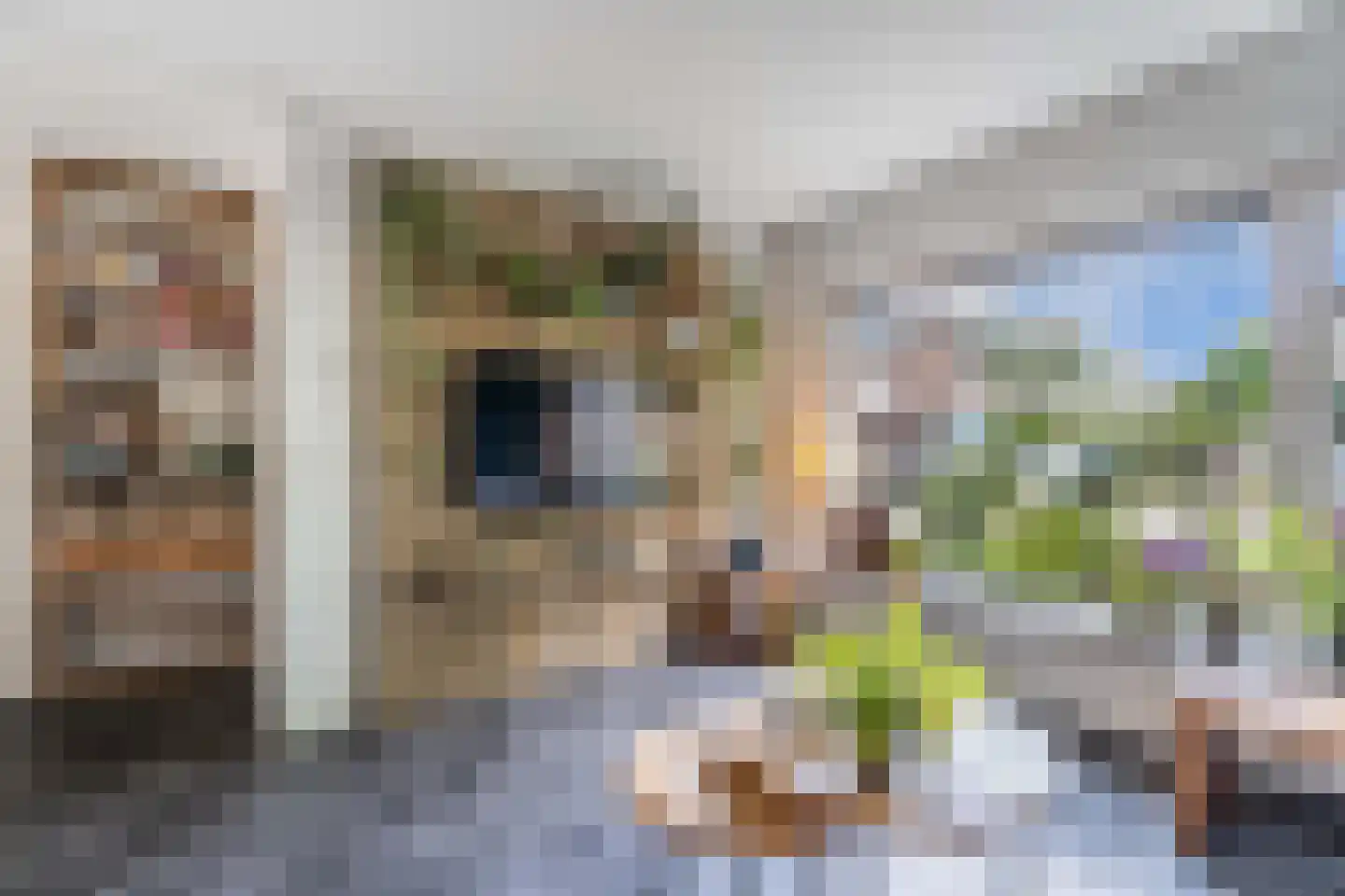 De Fazant 3 Dronten thumbnail 16