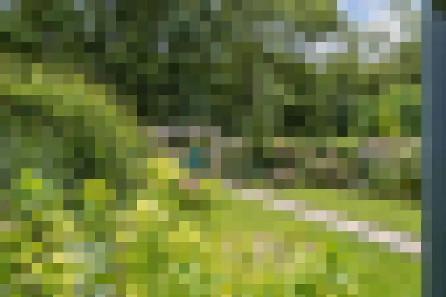 De Fazant 3 Dronten thumbnail 48