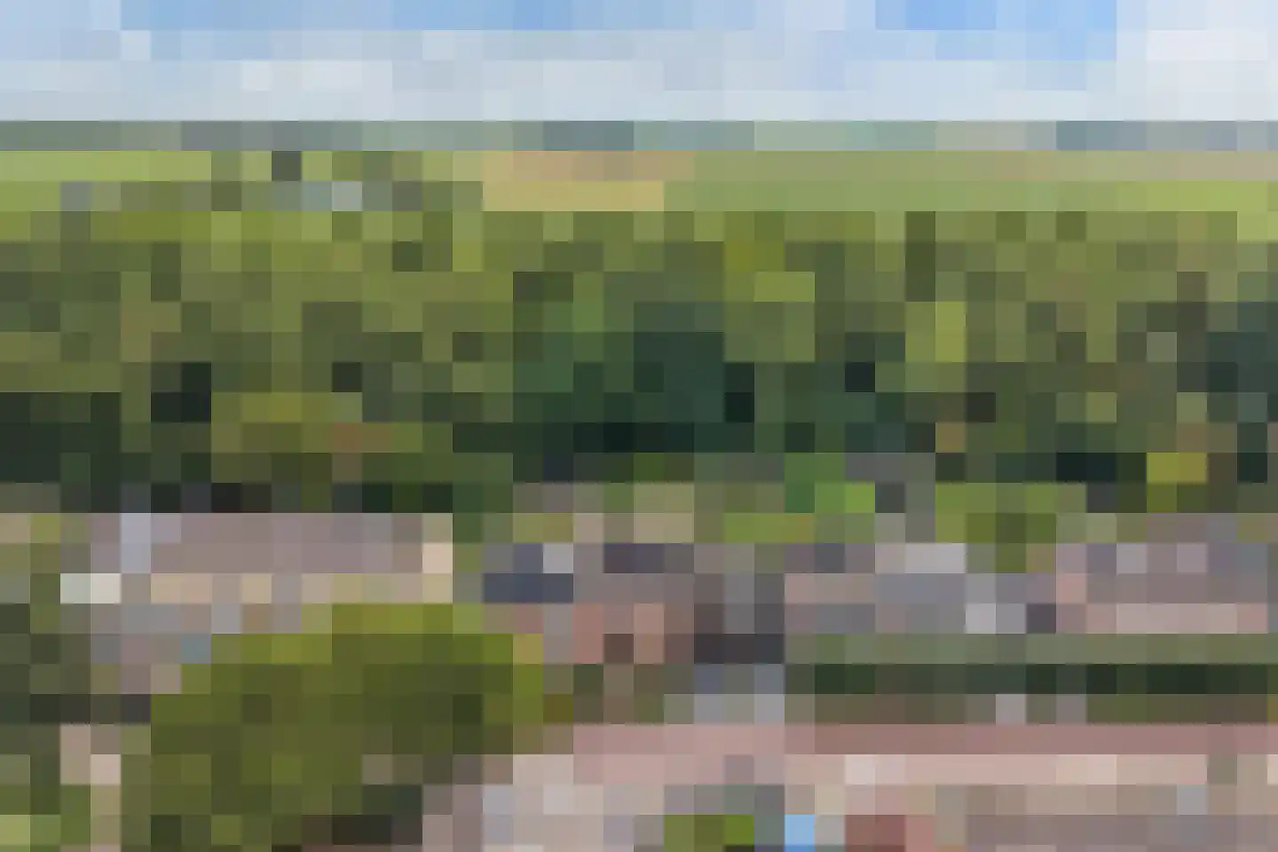 De Fazant 3 Dronten thumbnail 5