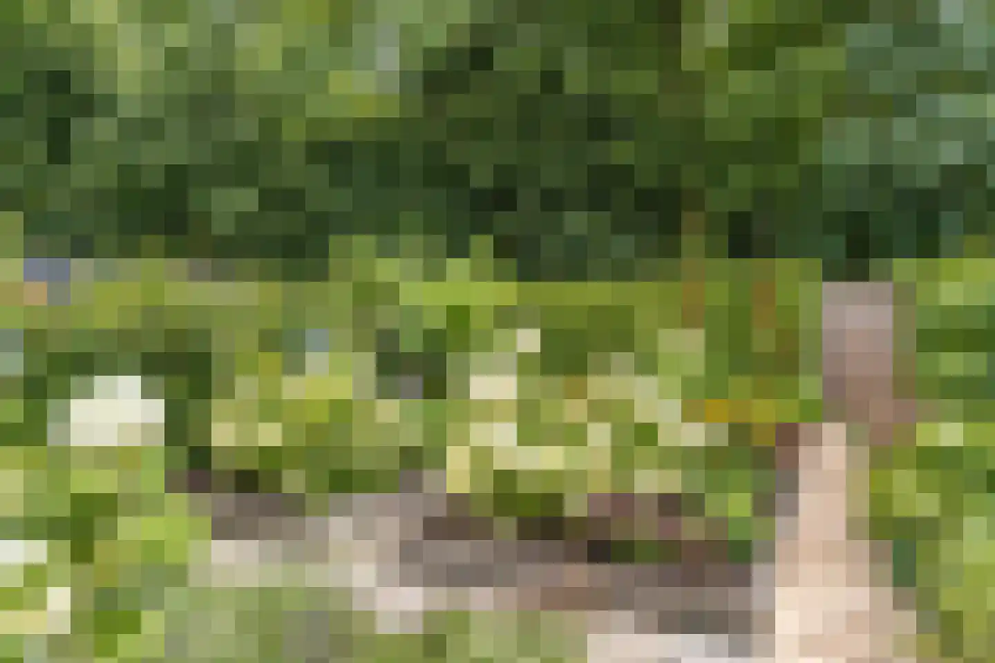 De Fazant 3 Dronten thumbnail 51