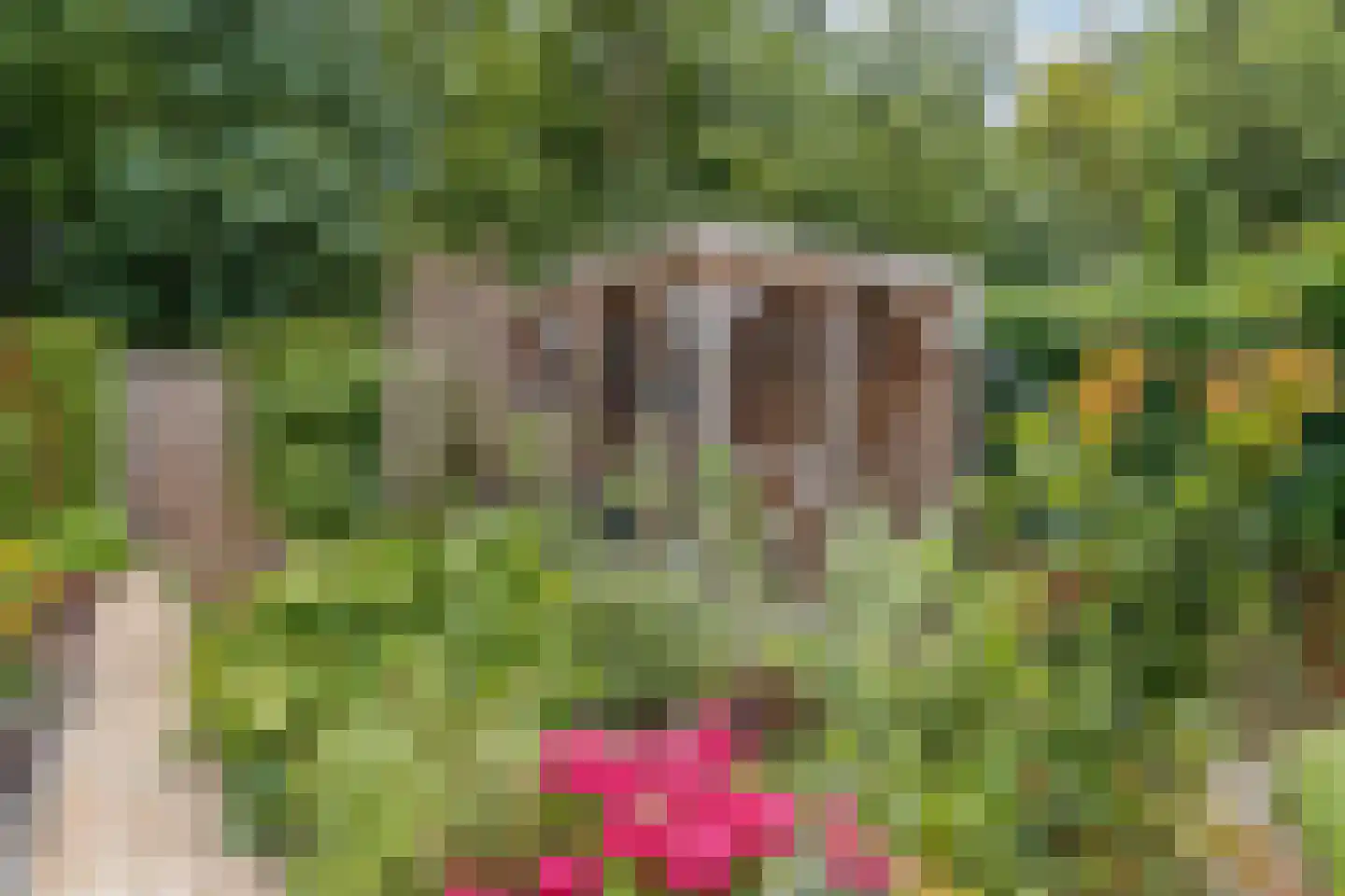 De Fazant 3 Dronten thumbnail 52
