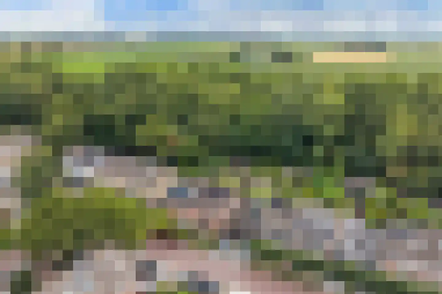 De Fazant 3 Dronten thumbnail 6