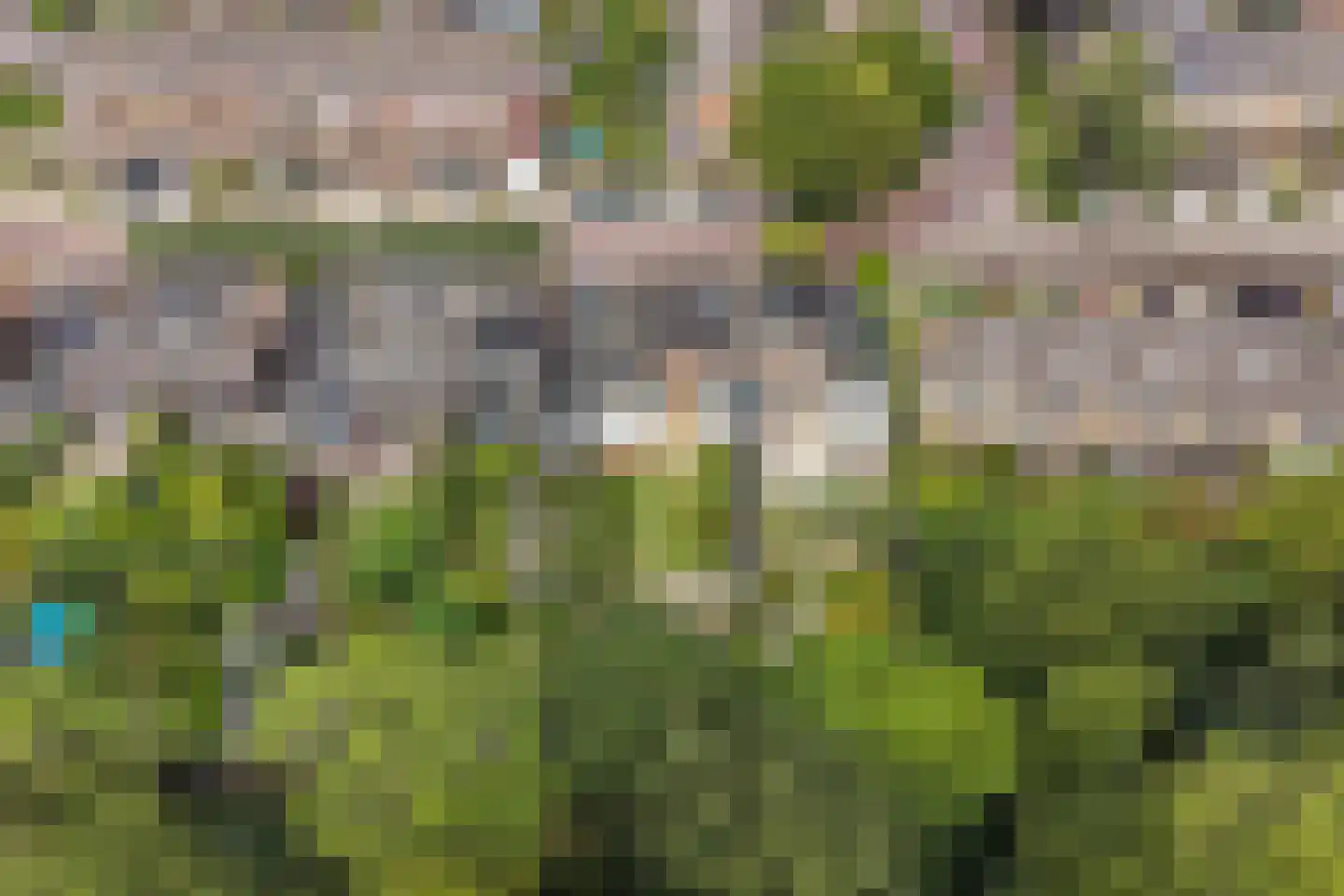 De Fazant 3 Dronten thumbnail 60