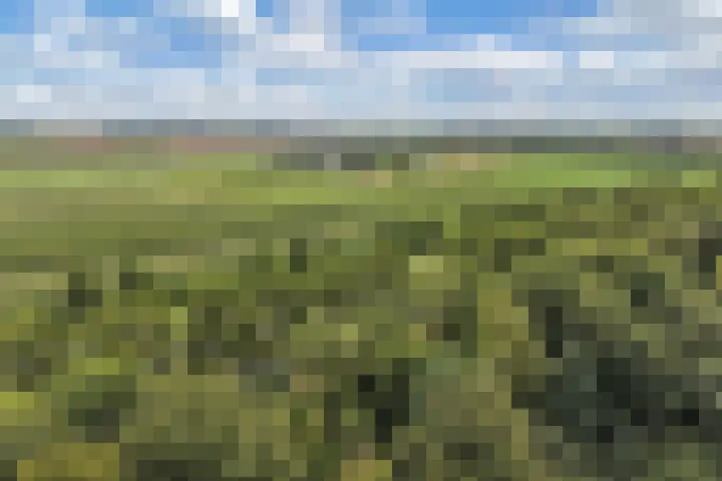 De Fazant 3 Dronten thumbnail 61