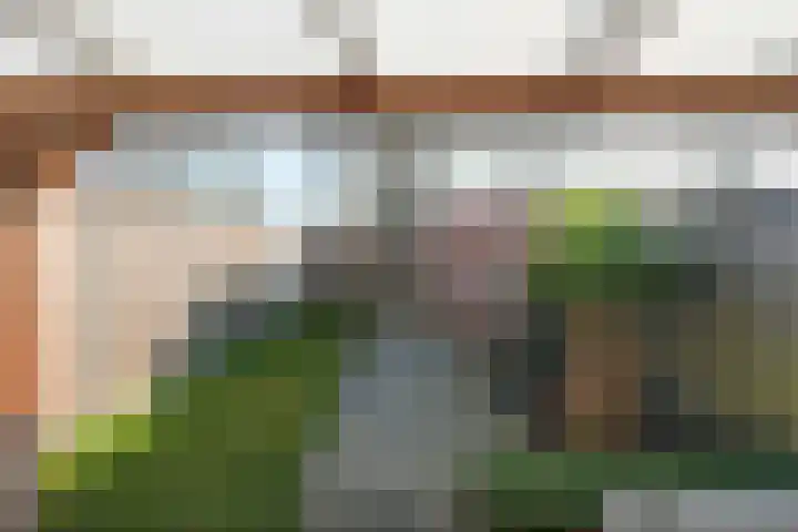 De Fazant 42 Almelo thumbnail 12