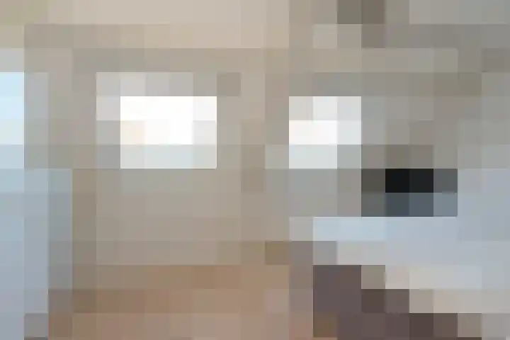 De Fazant 42 Almelo thumbnail 17