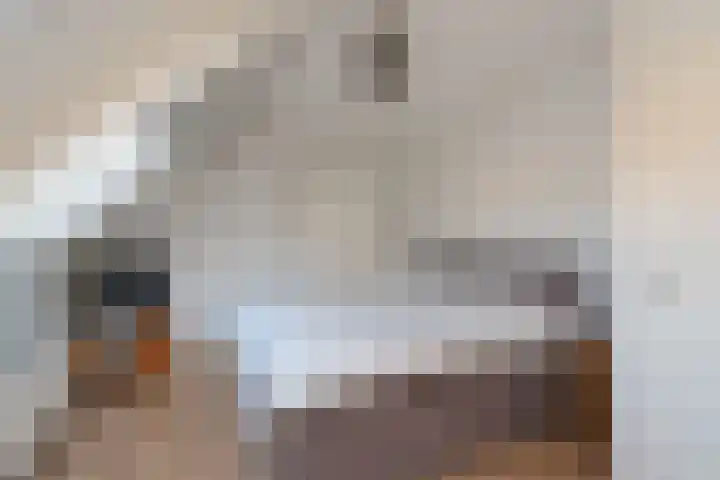 De Fazant 42 Almelo thumbnail 18