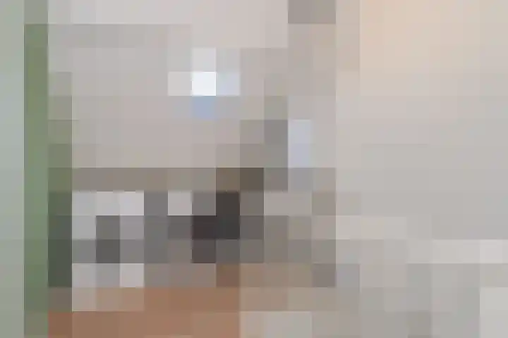 De Fazant 42 Almelo thumbnail 27