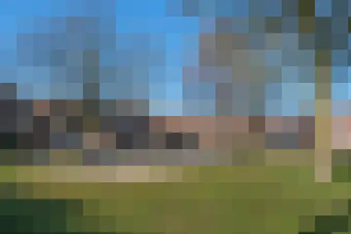 De Fazant 42 Almelo thumbnail 30