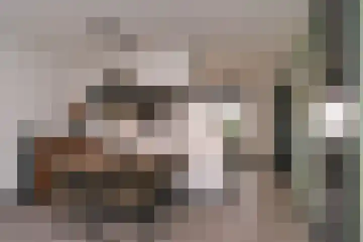De Fazant 42 Almelo thumbnail 7