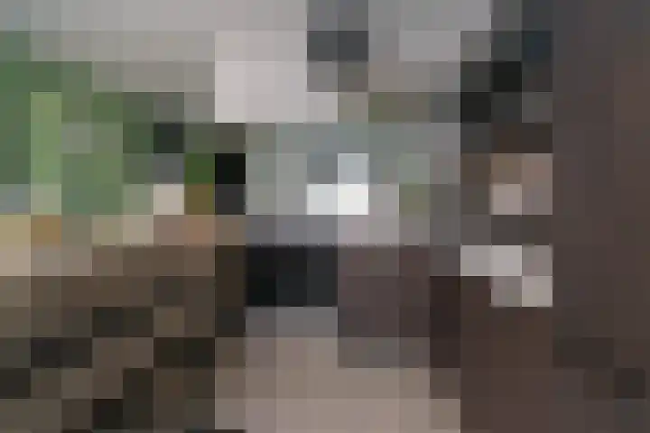 De Fazant 42 Almelo thumbnail 9