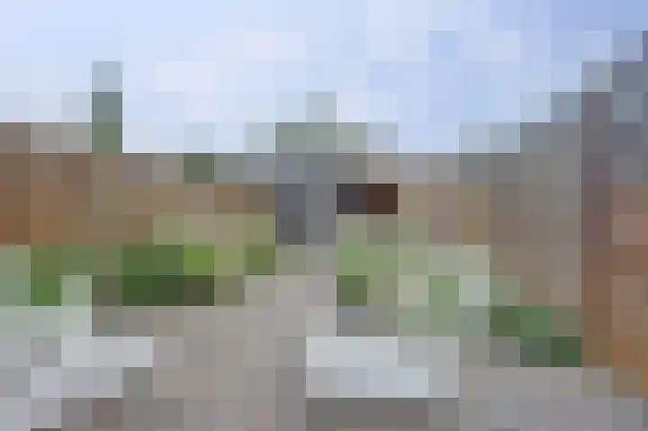 De Fazant 46 Dronten thumbnail 38