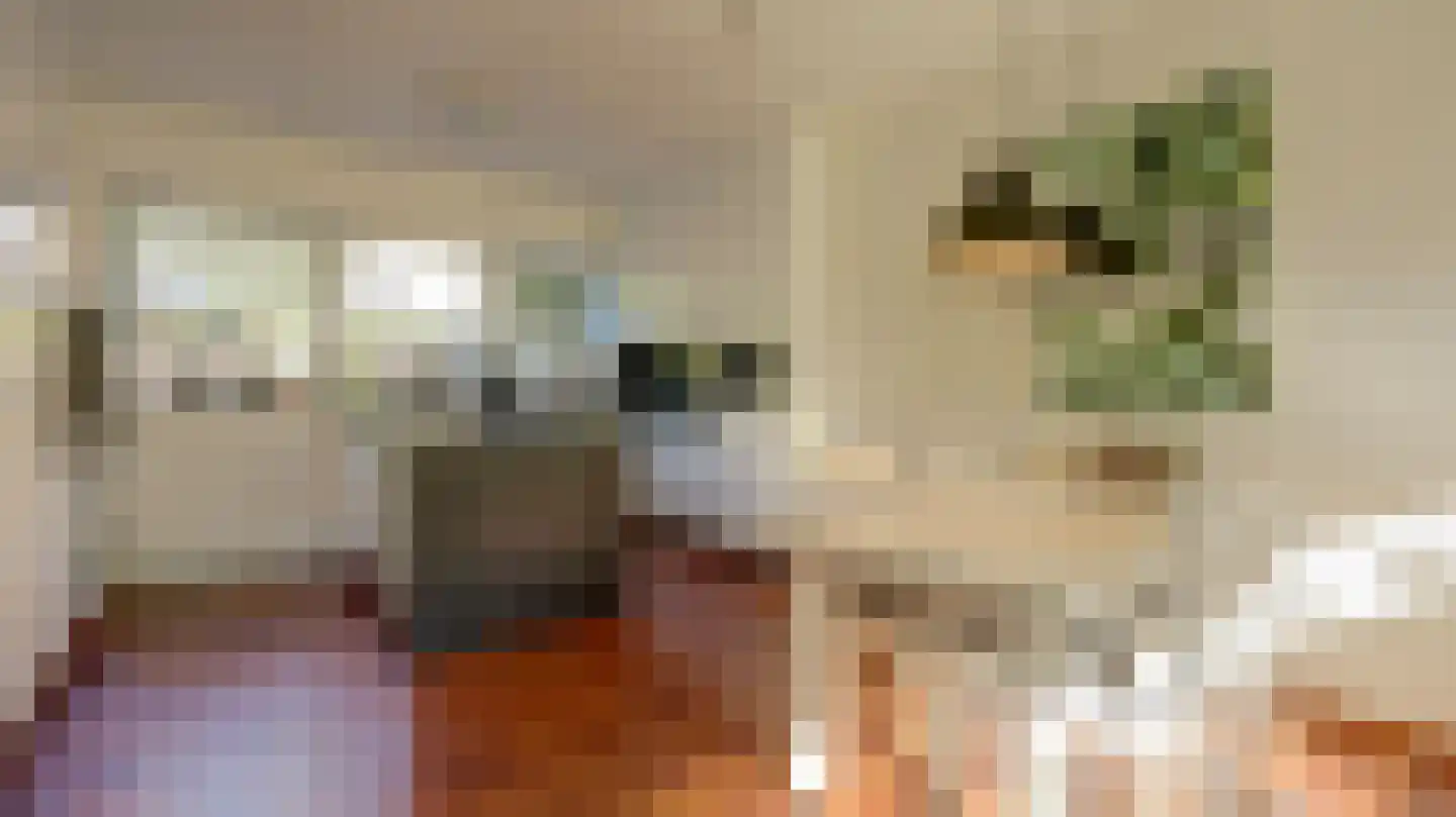 De Fazant 51 Almelo thumbnail 10