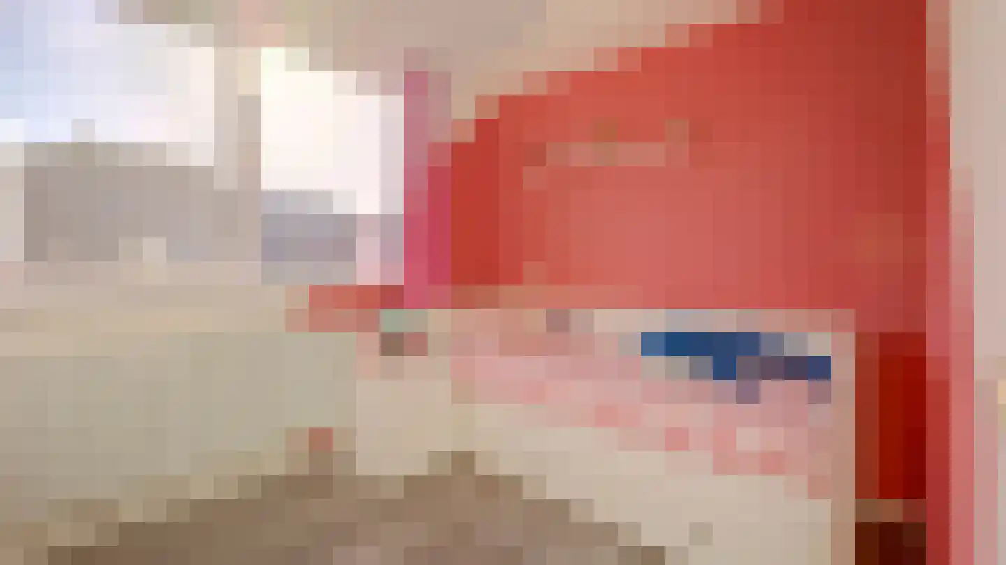 De Fazant 51 Almelo thumbnail 17