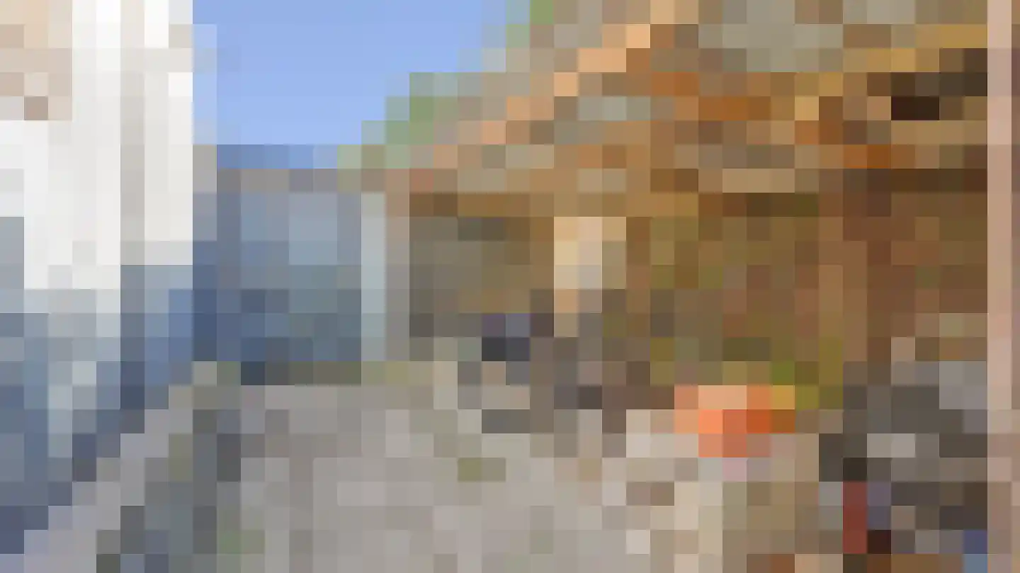 De Fazant 51 Almelo thumbnail 29