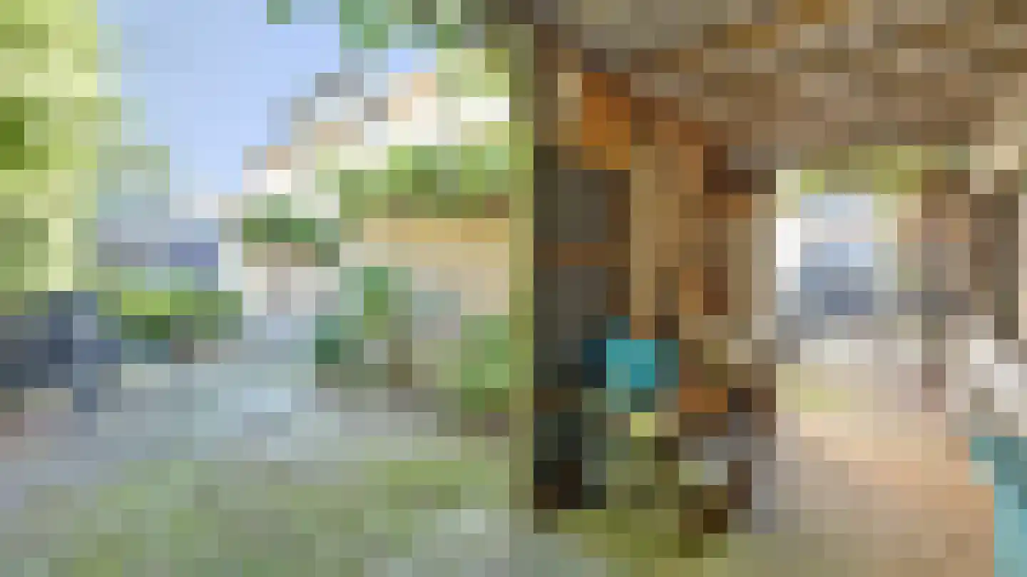 De Fazant 51 Almelo thumbnail 31
