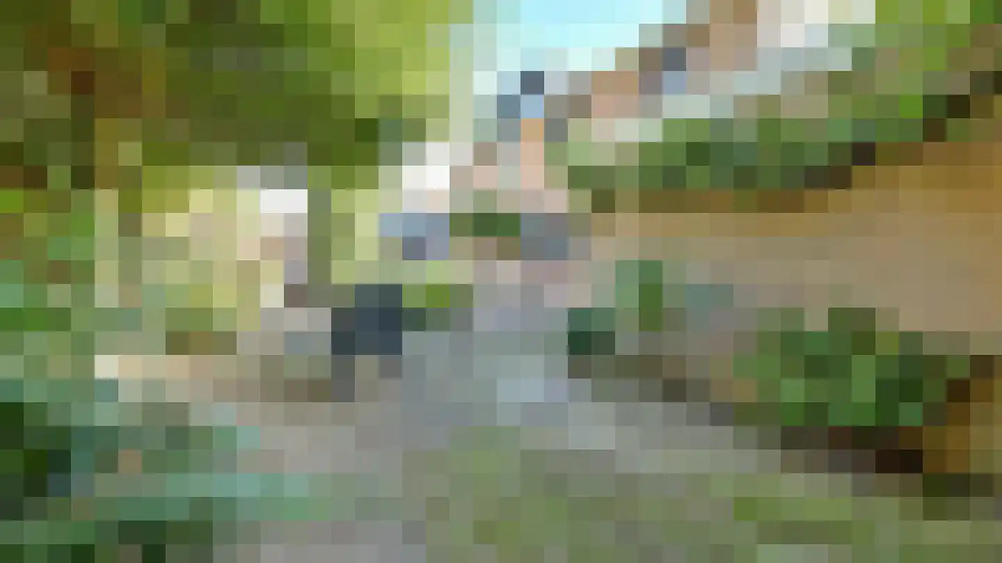 De Fazant 51 Almelo thumbnail 35