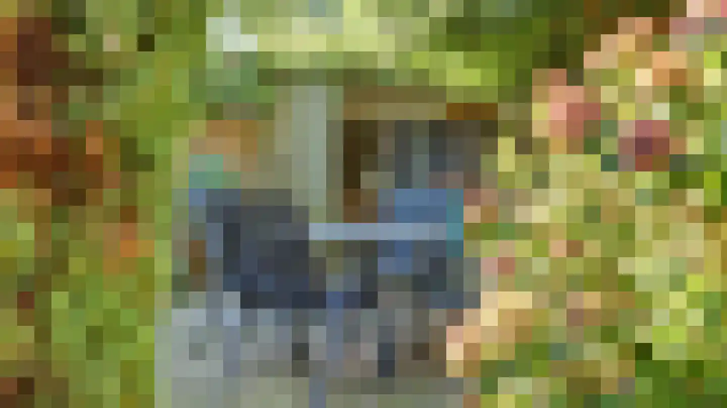 De Fazant 51 Almelo thumbnail 38