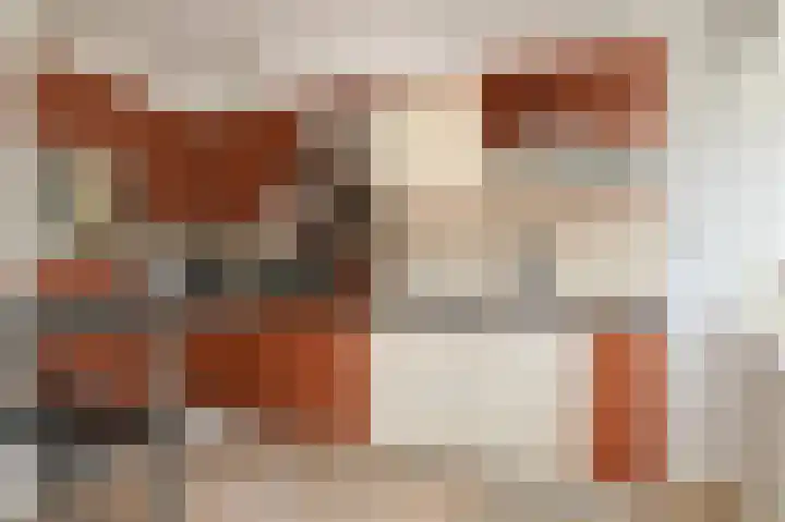 De Fazant 6 Rossum thumbnail 13
