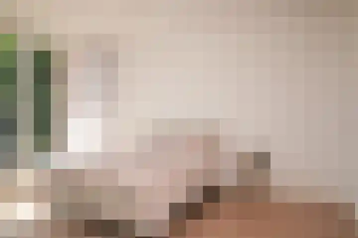 De Fazant 6 Rossum thumbnail 16