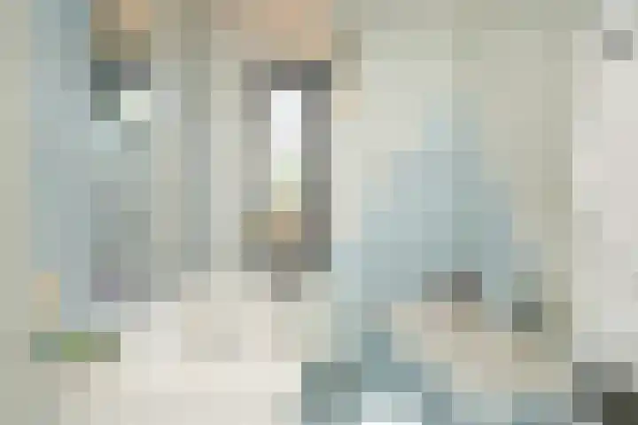 De Fazant 6 Rossum thumbnail 18