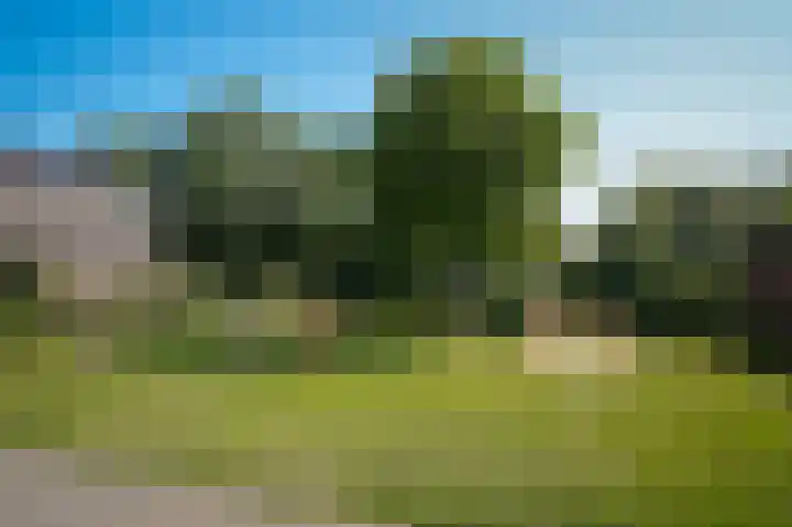De Fazant 6 Rossum thumbnail 30