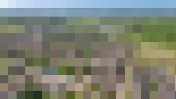 De Fazant 6 Rossum thumbnail 33