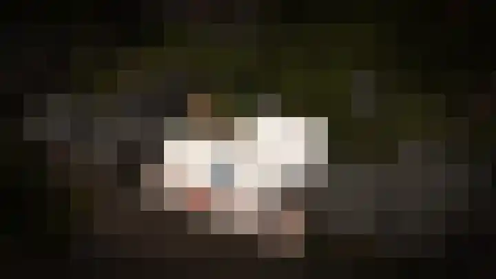 De Fazant 6 Rossum thumbnail 4