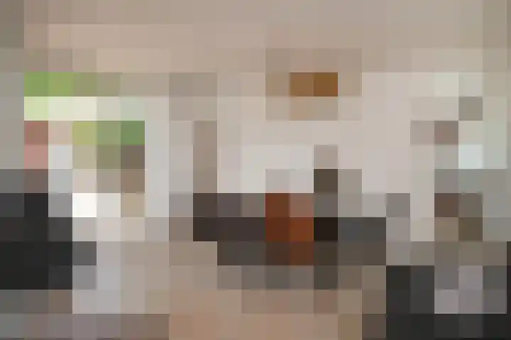 De Fazant 6 Rossum thumbnail 8