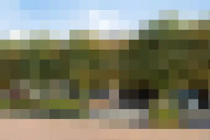 De Fazant 7 Dronten