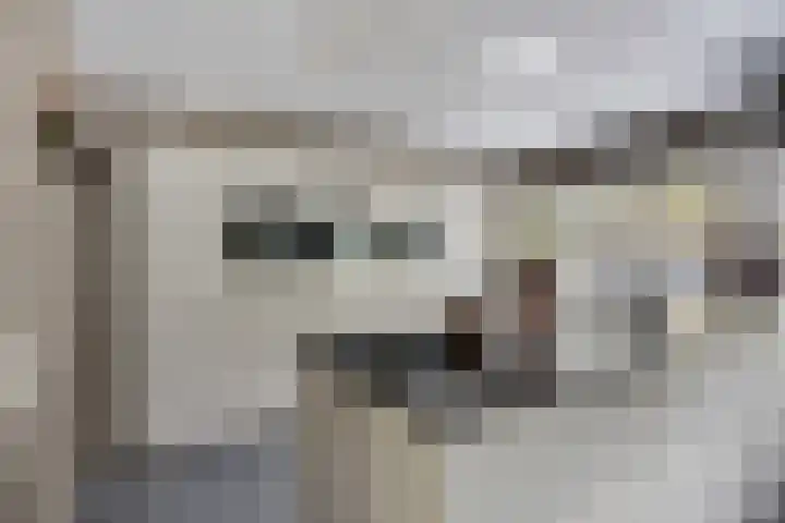 De Fazant 7 Dronten thumbnail 11