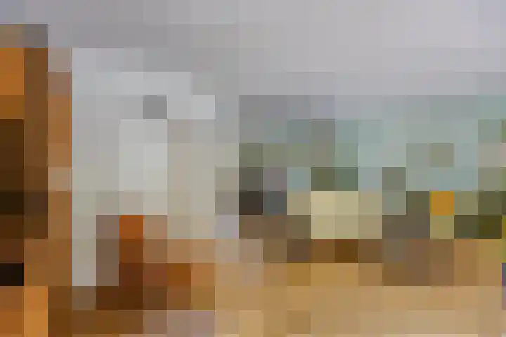 De Fazant 7 Dronten thumbnail 14