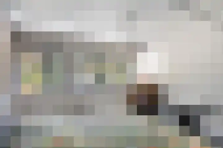 De Fazant 7 Dronten thumbnail 24