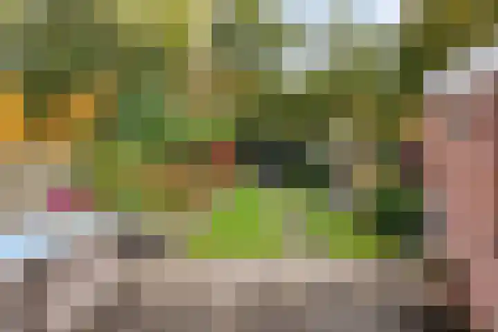 De Fazant 7 Dronten thumbnail 35