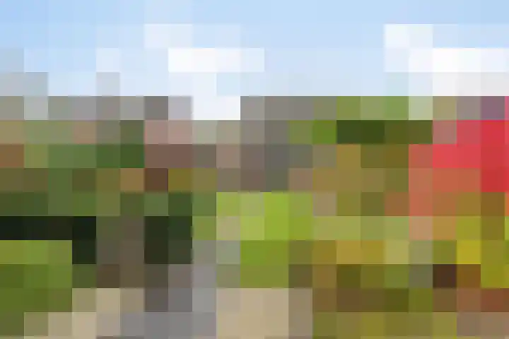 De Fazant 7 Dronten thumbnail 36