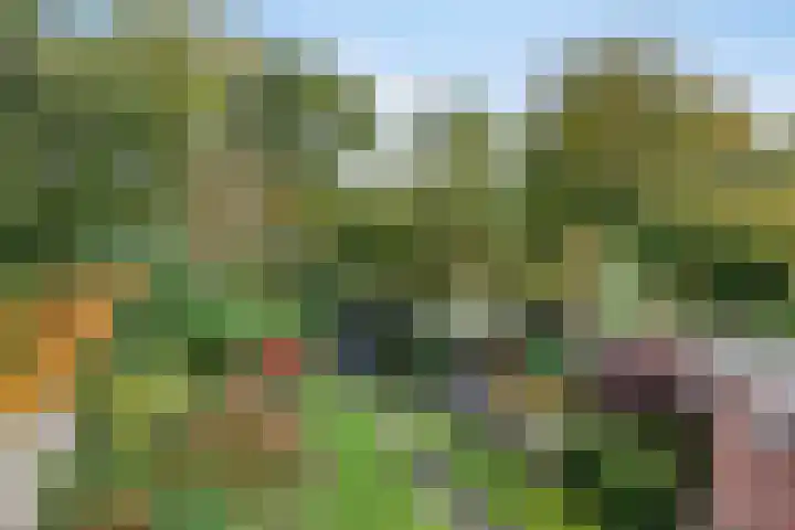 De Fazant 7 Dronten thumbnail 40
