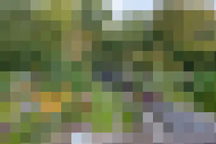 De Fazant 7 Dronten thumbnail 41