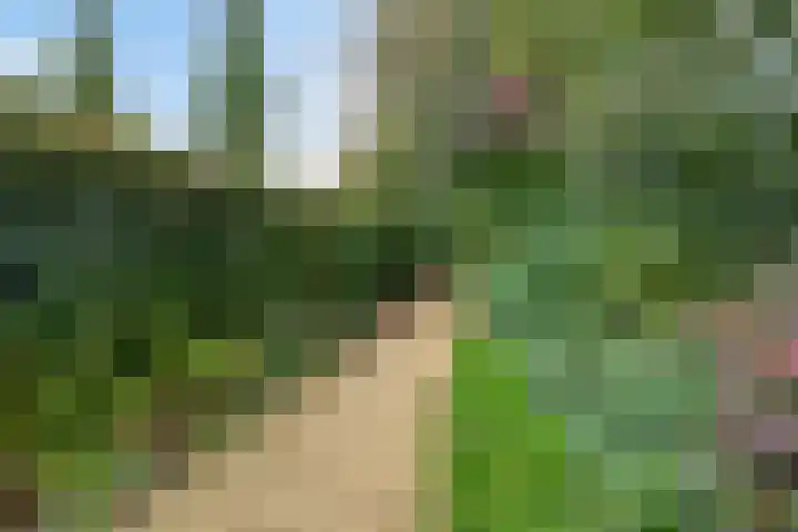 De Fazant 7 Dronten thumbnail 42