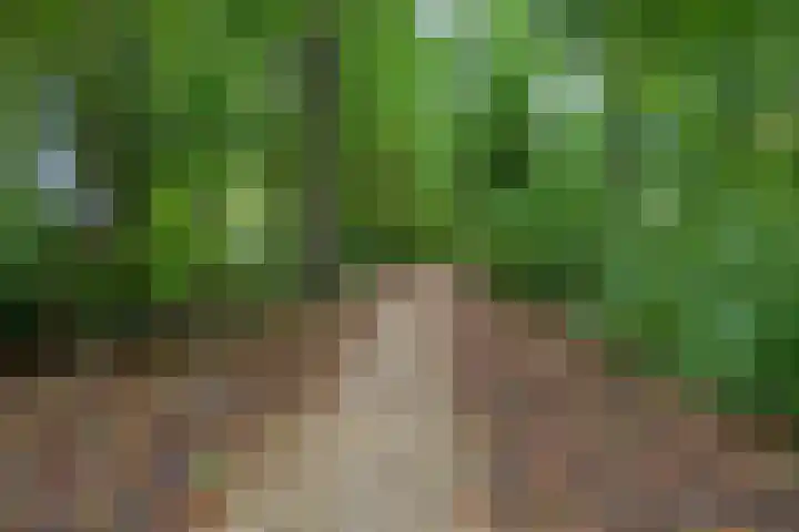 De Fazant 7 Dronten thumbnail 43