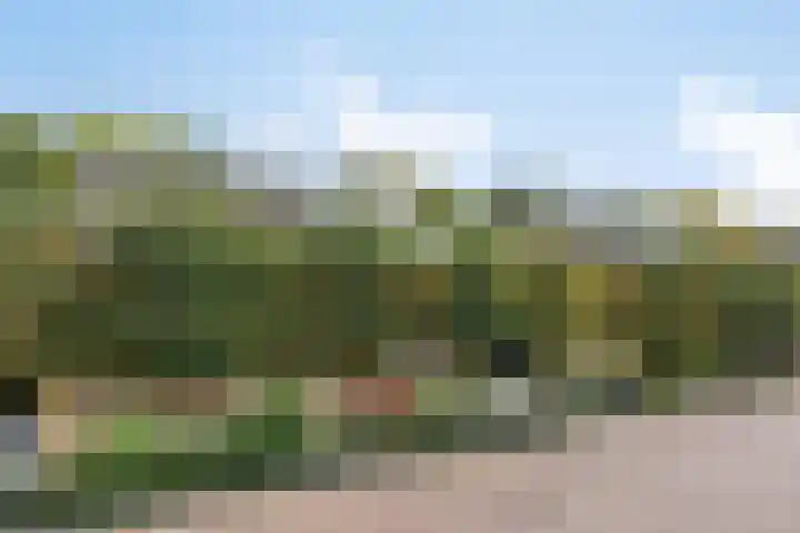 De Fazant 7 Dronten thumbnail 45
