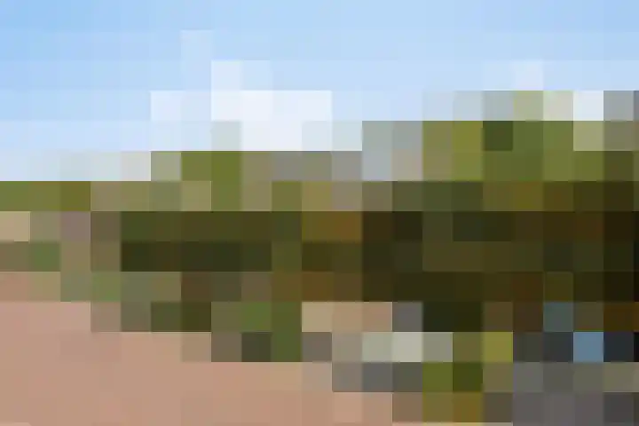 De Fazant 7 Dronten thumbnail 47