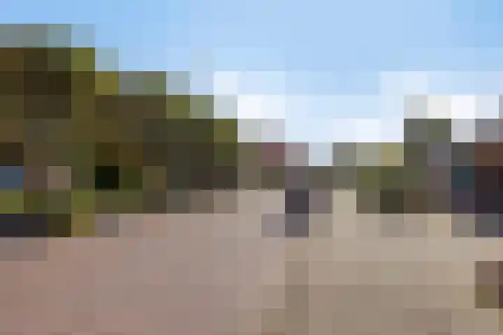 De Fazant 7 Dronten thumbnail 49