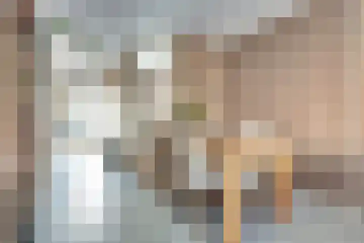 De Fazant 70 Almelo thumbnail 10