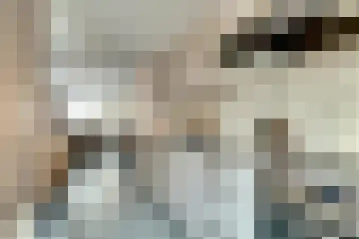 De Fazant 70 Almelo thumbnail 13