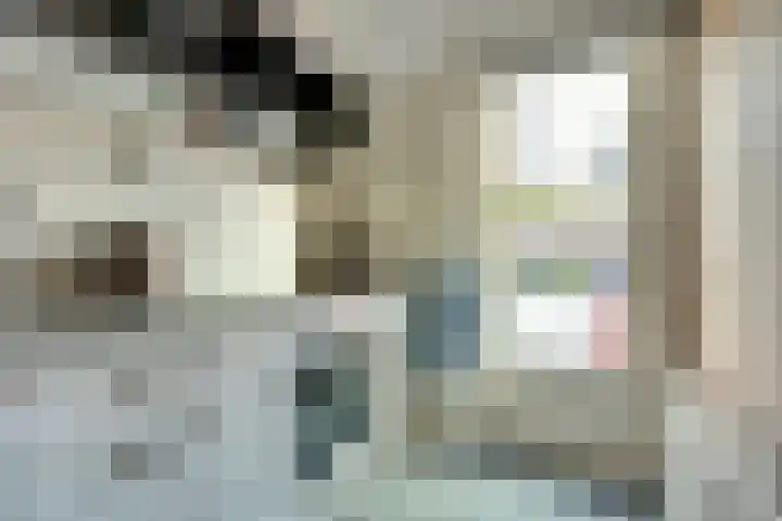 De Fazant 70 Almelo thumbnail 14