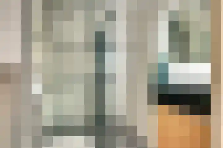 De Fazant 70 Almelo thumbnail 18