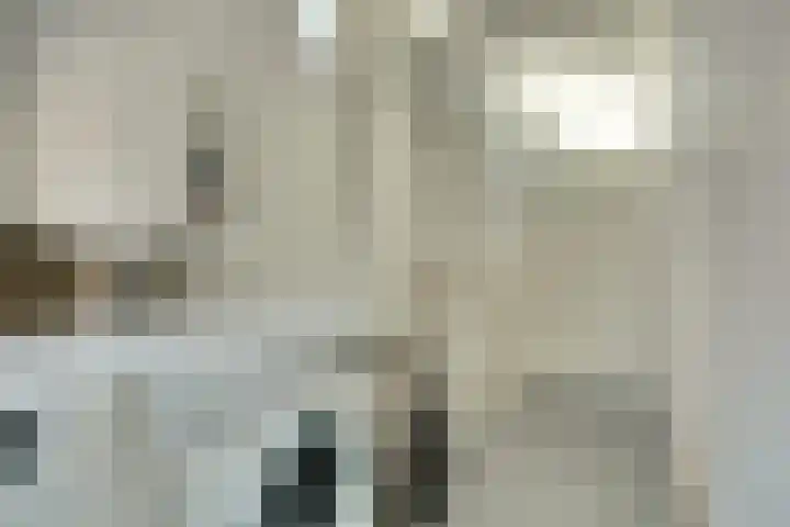 De Fazant 70 Almelo thumbnail 20