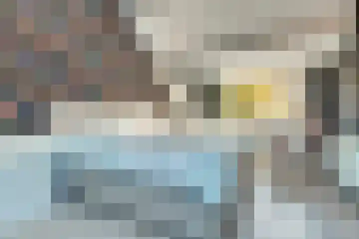 De Fazant 70 Almelo thumbnail 21