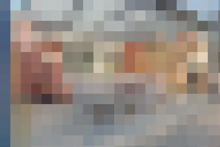 De Fazant 70 Almelo thumbnail 23